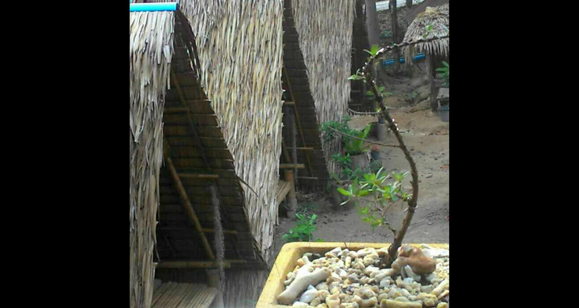 Lipe Camping Zone Dış mekan fotoğraf